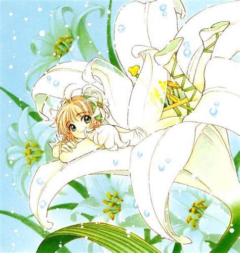 CCS! - Cardcaptor Sakura Photo (7337200) - Fanpop