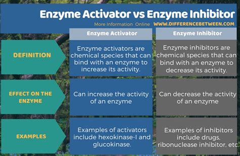 Difference Between Enzyme Activator and Enzyme Inhibitor | Compare the Difference Between ...