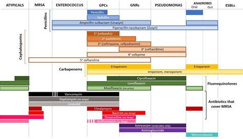 Image result for antibiotic spectrum chart | Antibiotic, Antibiotics ...