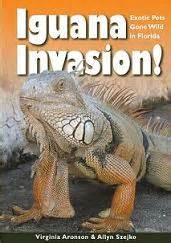 Iguana Invasion - Exotic Pets Gone Wild in Florida - Iguanas and Lizards