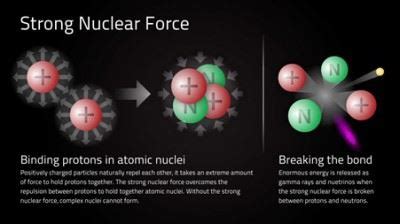 Nuclear Force - Definition and Example | Properties of Nuclear Force