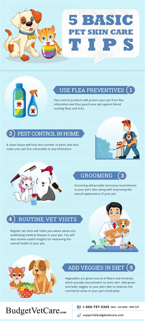 Pet Skin Care Tips - Basic Way to Keep Your Pet Healthy and Happy