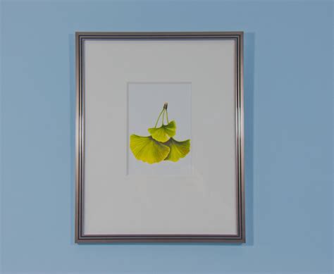 Ginkgo Leaf, Watercolor Painting - Etsy