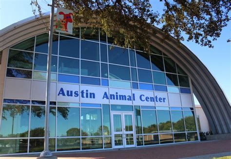 ‘No Kill’ and At Capacity: What Should the Austin Animal Center Do Now? | KUT Radio, Austin's ...