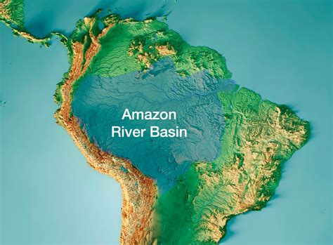 Amazon Rainforest And River Map - vrogue.co