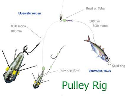 Fishing in Western Australia: Pulley rig image