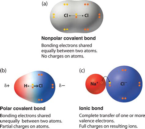 Chapter 5.6: Properties of Polar Covalent Bonds - Chemistry LibreTexts