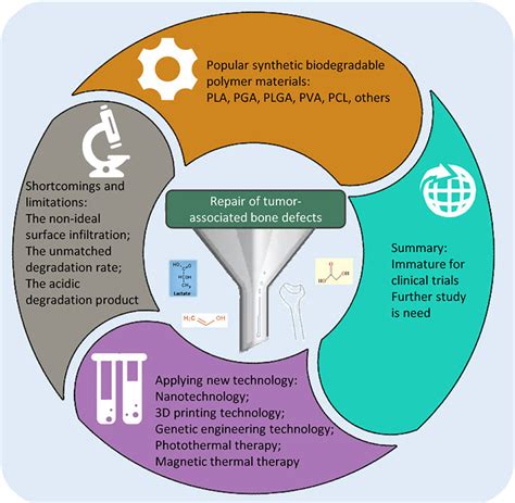 Frontiers | Synthetic biodegradable polymer materials in the repair of ...