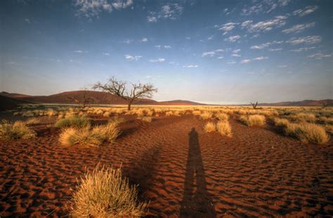 namib desert sunrise | mariusz kluzniak | Flickr