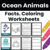 Stingrays. Ocean Animals facts, Comprehension questions, Coloring ...