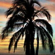 Maui Hawaii Sunset Palm Photograph by Pierre Leclerc Photography - Fine Art America