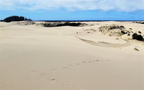 6 Favorite Hikes in Oregon Dunes National Recreation Area | PlanetWare