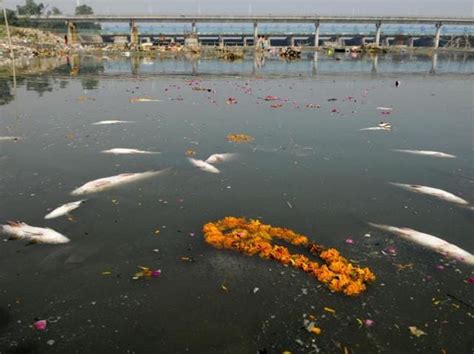 After the festivities: Yamuna riverbed a dump yard post Ganesh ...