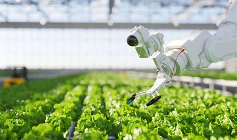 Technology powered Sustainable Food Systems - Catalyze