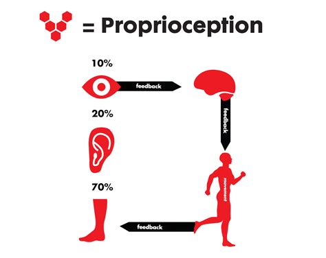 #ThursdayTherapy: What is proprioception? - Energised Performance Blog