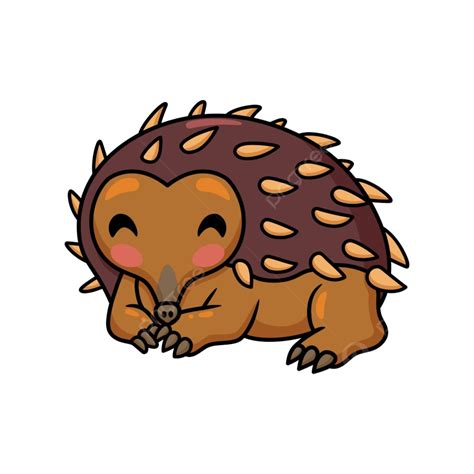 Cute Little Echidna Cartoon Character, Zoology, Character, Critter PNG ...