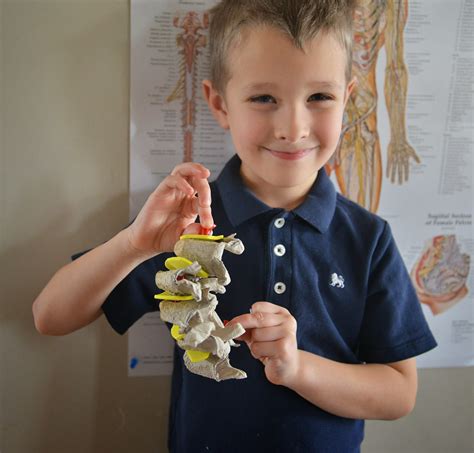 A school of fish: Spinal Cord model with egg carton and licorice