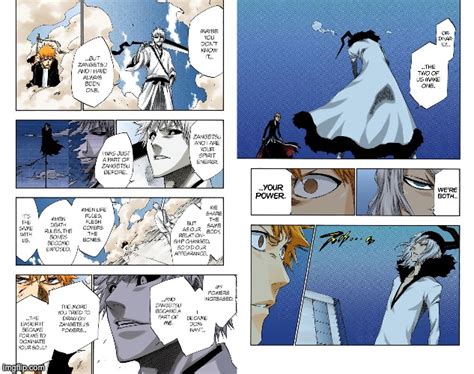 Is the merged spirit of Zangetsu the true form of Ichigo's Zangetsu? White said both he and Old ...