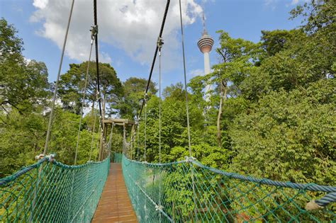 KL Forest Eco Park | Kuala Lumpur, Malaysia | Sights - Lonely Planet