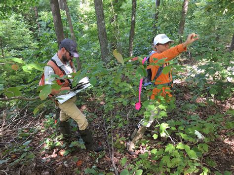 Forest Conservation in Tennessee - Explore Oak Ridge