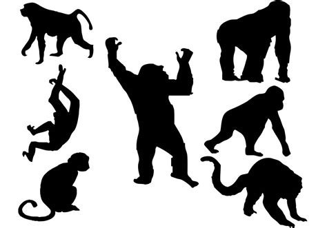 Monkey Free Vector Art - (25,886 Free Downloads)