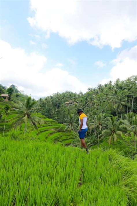 9 Very Best Hikes In Bali To Experience - Hand Luggage Only - Travel, Food & Photography Blog