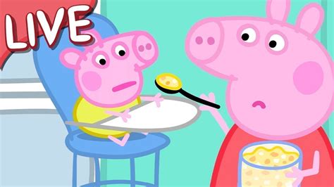 Peppa Pig 🍼 Baby Alexander FULL EPISODES 🌈 Kids Videos LIVE 🔴 - YouTube