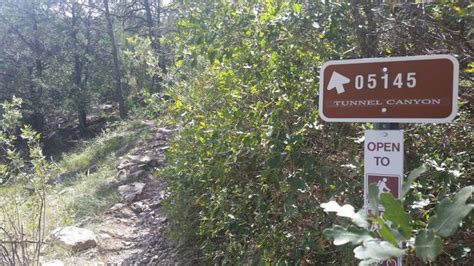 4 Unique Albuquerque Hiking Trails | Hiking trails, Hiking, Trail