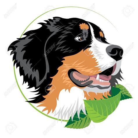 Bernes | Perros en caricatura, Perros de montaña berneses, Perros de ...