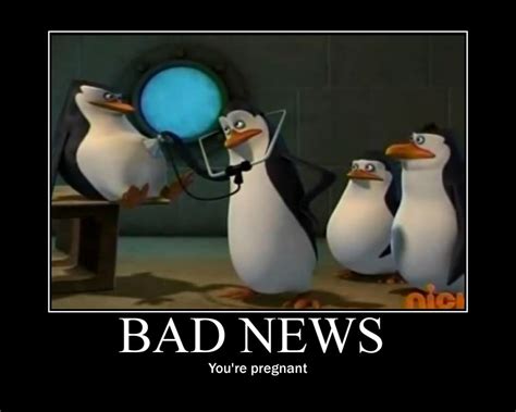 Penguin Skipper Quotes. QuotesGram