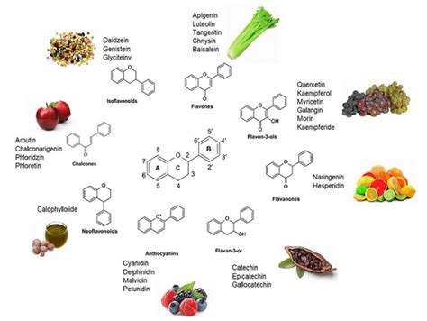 Dietary sources of flavonoids. | Download Scientific Diagram