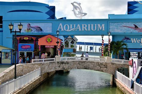 Interactive Aquarium at La Isla Shopping Village in Cancun, Mexico ...