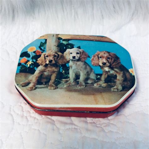 Vintage Puppy Dog Tin Box Made in England Cocker Spaniel 1960s - Etsy