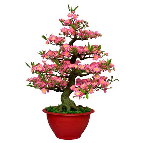 cay-dao-bonsai-gia-85cm-mau-bd14 HOA CHÍ TÍN