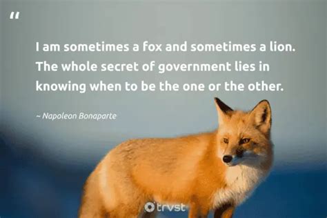 40 Fascinating Fox Quotes about the Clever Canines (2024)