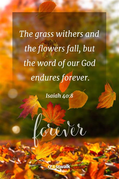 15 Beautiful Fall Bible Verses for the Autumn Season - Bible Study
