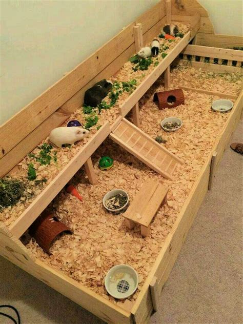 20 Homemade DIY Guinea Pig Cage Ideas