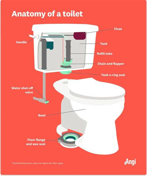 The Parts of a Toilet You Need to Know | Toilet handle, Toilet, Flush toilet