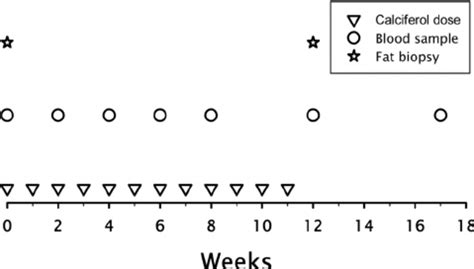 Dosing and measurement scheme: ƒ , 50,000 IU calciferol by mouth; 3⁄8 ...