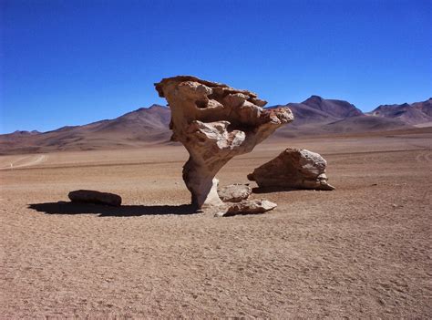 FEATURES OF WIND EROSION - online student resources