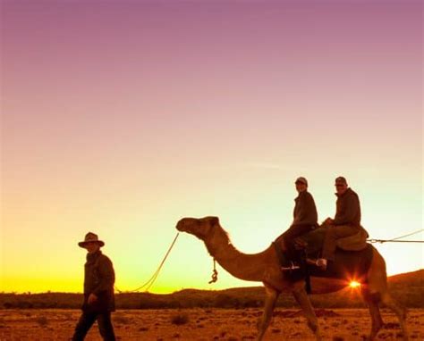 Camel Ride Alice Springs ($89) + FREE shuttle - Alice's Secret ...