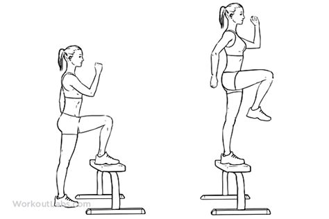 Step Up with Knee Raise | Illustrated Exercise guide - WorkoutLabs