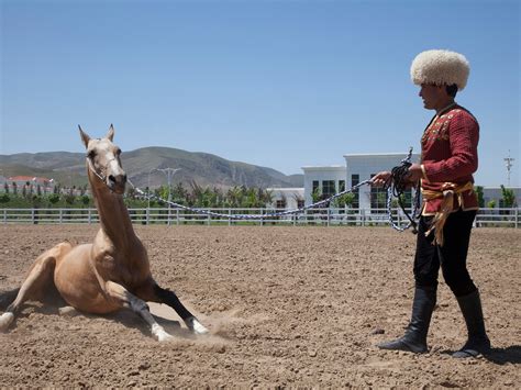 Golden Horse Turkmenistan