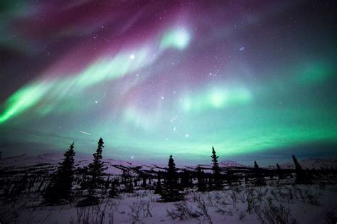 Northern Lights, Denali National Park, Alaska. Photo by Dan Leifheit ...