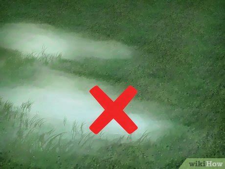 3 Ways to Control Moles and Gophers - wikiHow