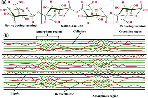 (a) Linear structure of cellulose showing three hydroxyl (–OH) groups ...