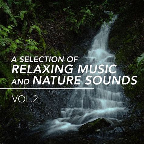 A Selection of Relaxing Music and Nature Sounds, Vol. 2 | Nature Sounds – Download and listen to ...