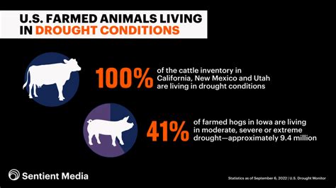 Millions of Factory Farm Animals Are Living in Drought. Here’s What ...