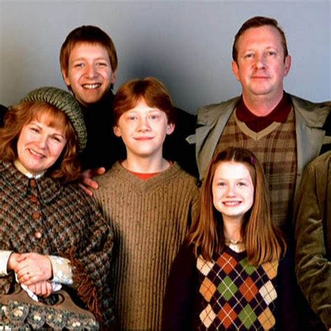 Which "Harry Potter" Family Do You Belong In? | Harry potter quizzes, Harry potter, Harry potter ...