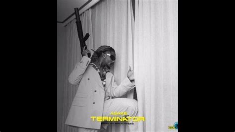 ASAKE - TERMINATOR ( OFFICIAL AUDIO) - YouTube